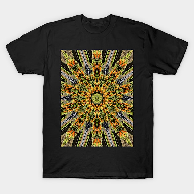 abstract T-Shirt by Lin Watchorn 